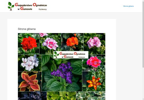 ogrodwgumowie.pl