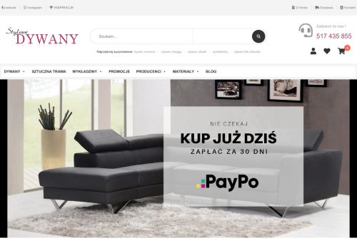 stylowedywany.pl