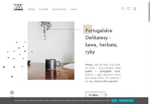 amesa.pl