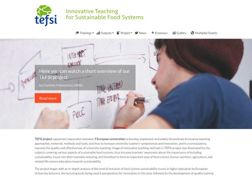 tefsi.tefsi-project.ogicom.pl