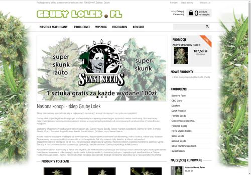 grubylolek.pl