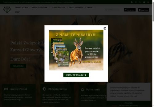 pzlow.pl